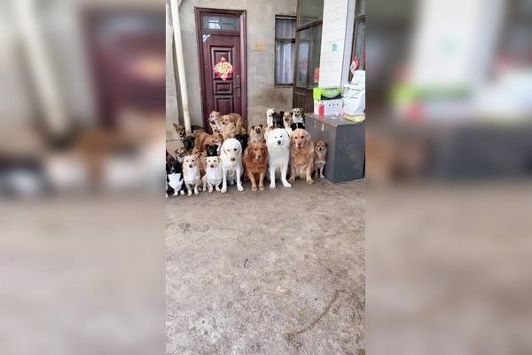 搞笑逗趣，宠物名字的创意大赏-方知甜