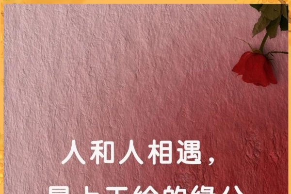 古稀佳缘，跨越时光的深情邂逅-方知甜