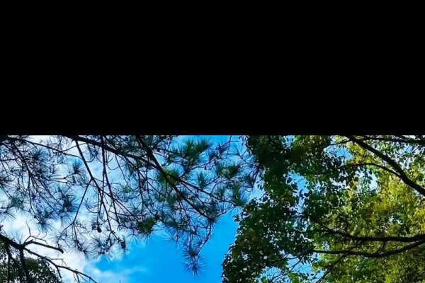 观音成道日-方知甜