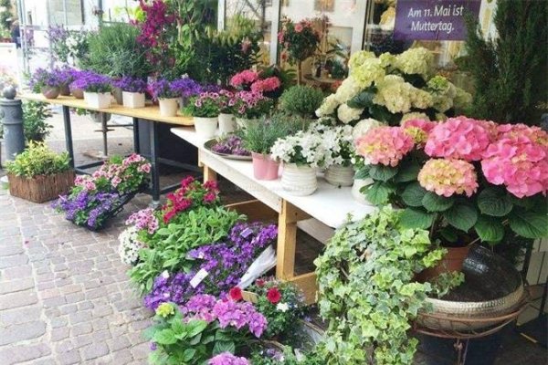 花店名之选，寻找记忆中的花之璀璨-方知甜