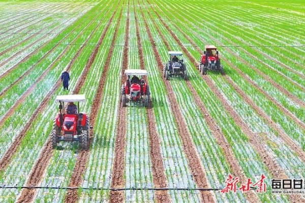 哈斯农场（安全智慧种植基地）-方知甜