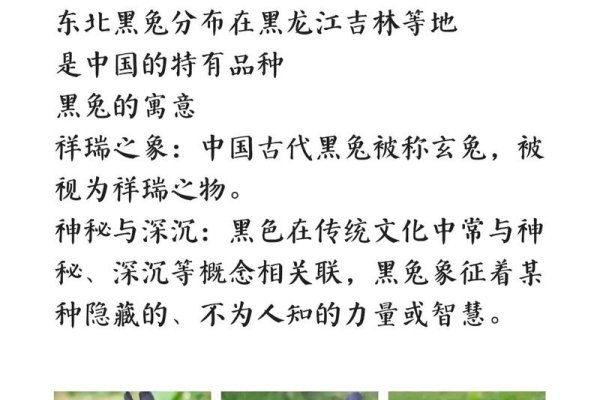 黑兔年怎样看？-方知甜