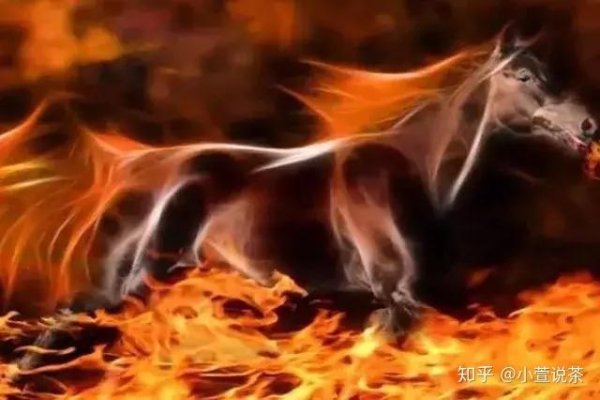 火烧眉毛，生肖马，急行如火之象征？-方知甜