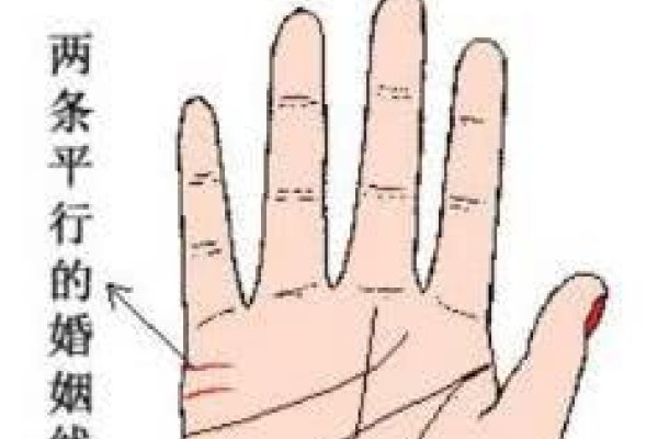 婚姻线图解，女人右手婚恋断裂分析-方知甜