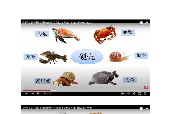 黄鳝自卫，守护生命尊严的生态守护者-方知甜