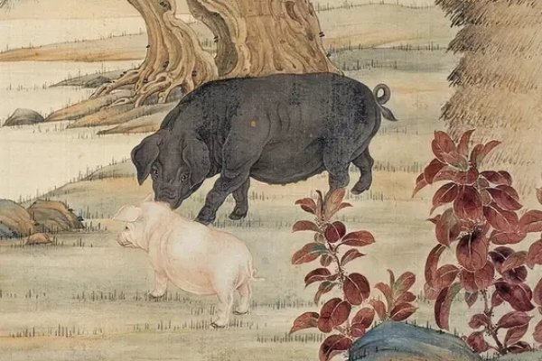 行云流水话生肖——探寻那般灵动之属-方知甜