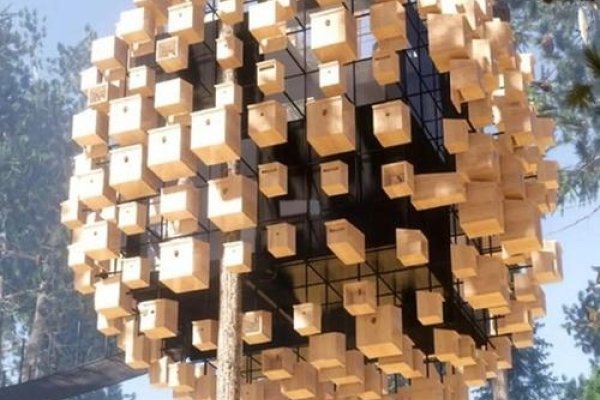 环艺设计，创意灵感与环保实践结合-方知甜