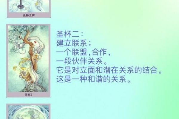 花影塔罗，探索神秘塔罗世界的花语之旅-方知甜