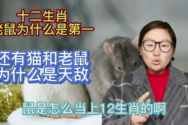 胡作非为，生肖鼠的肆意妄为-方知甜