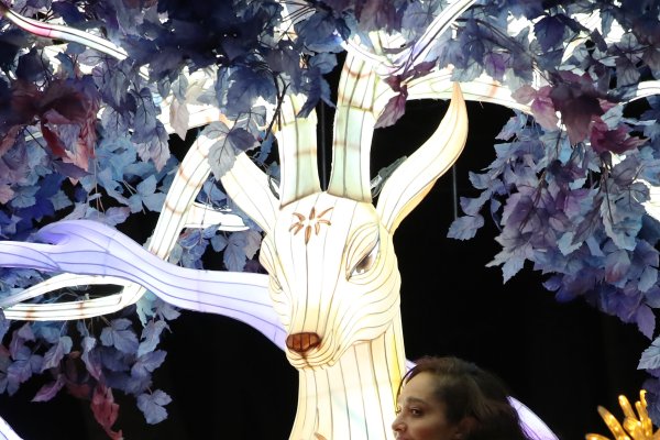 火之灵韵，女孩名字的璀璨选择-方知甜