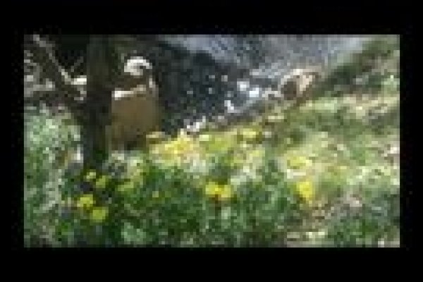 今春凌晨三刻，大地脉动生机-方知甜