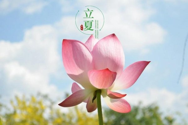 几点立夏，季节流转中的自然奇观-方知甜