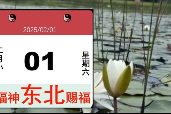 今年财神方位，正北、西北及东南，布局得宜财源广进-方知甜