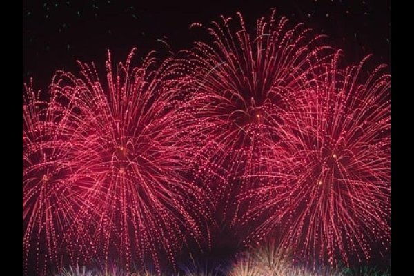 金牛座2025年财运亨通,桃花盛开-方知甜