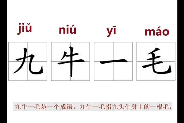 九牛一毛指的是什么生肖？-方知甜