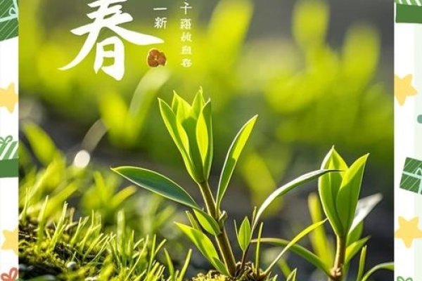 今日立春，春风送暖，万物复苏的时节-方知甜