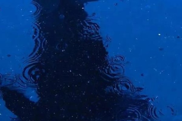 静水深流,内敛高雅的网名之选-方知甜