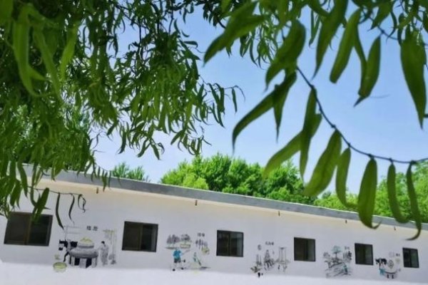 金昌交友，在金色都市中编织温暖的人际网-方知甜