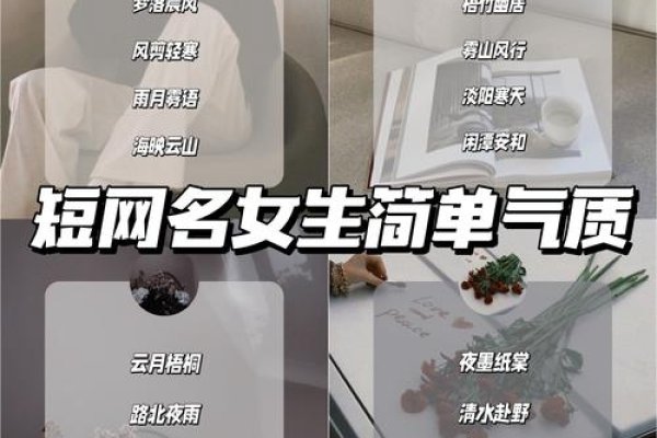 简洁网名的魅力与选择-方知甜