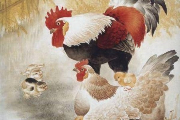 家丑外扬生肖，属相解读-方知甜