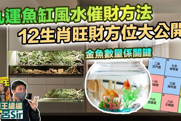 金鱼缸风水布局解析-方知甜