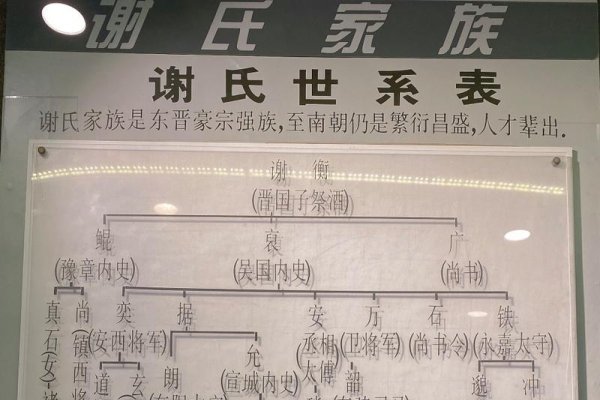 金陵谢氏家谱，中华文明的家族血脉图谱-方知甜