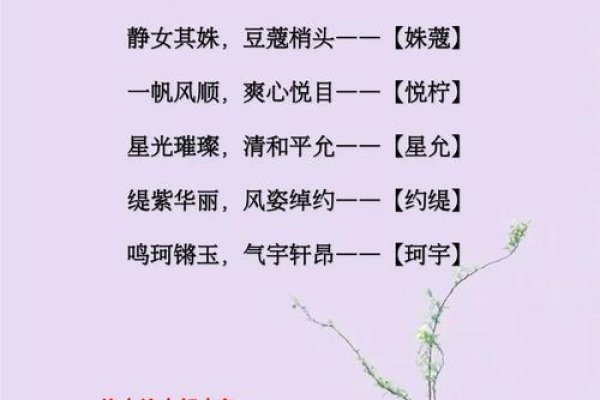 解锁新生儿爆款名字，从流行趋势到文化寓意的深度剖析-方知甜