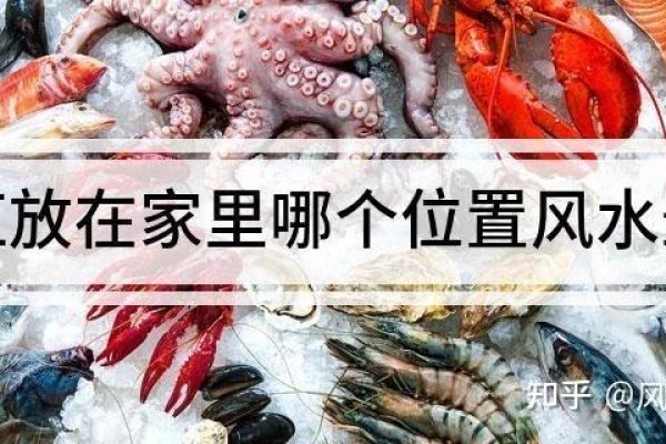 金鱼缸摆放位置，提升家居风水与生态平衡-方知甜