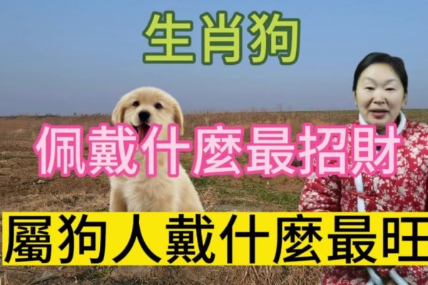 家养宠物生肖,狗的广泛认可-方知甜