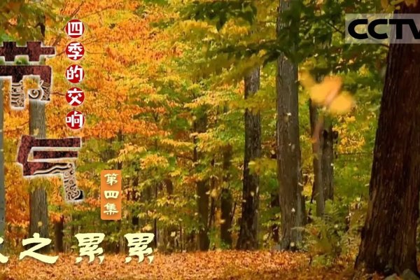 精准时刻，立秋的到来，几点几分几秒的微妙变化-方知甜