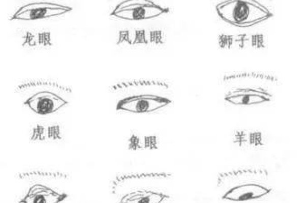 看人面相有妙法，需细心观察。-方知甜