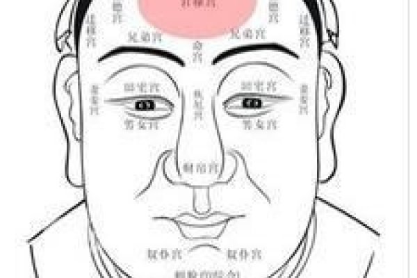 看相视频，探寻生命本质的独特途径-方知甜