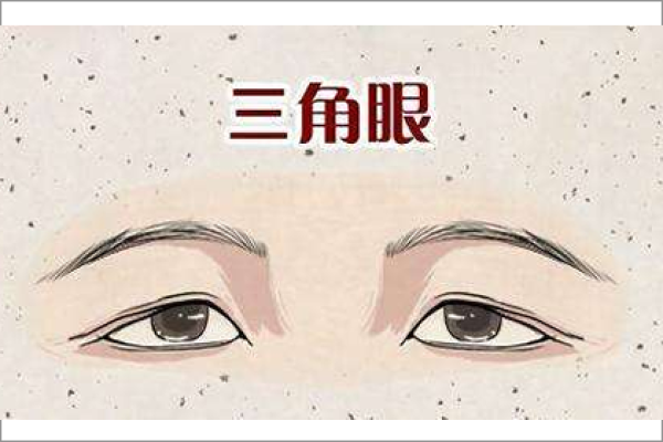看眼皮无力与三角眼不宜,寓意多事之兆。-方知甜