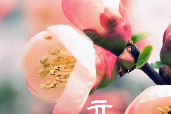 立春时刻，2021年立春具体时间揭晓-方知甜