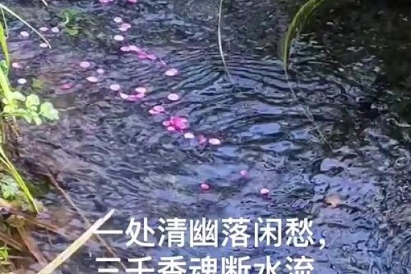 落花流水，四季轮回中的自然馈赠-方知甜