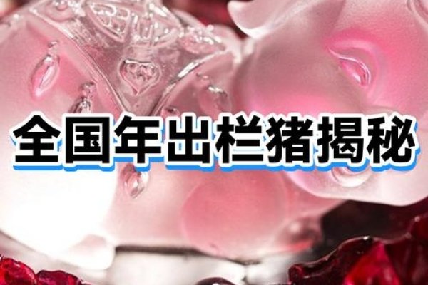 临时抱佛脚，生肖猜谜揭秘——猪-方知甜