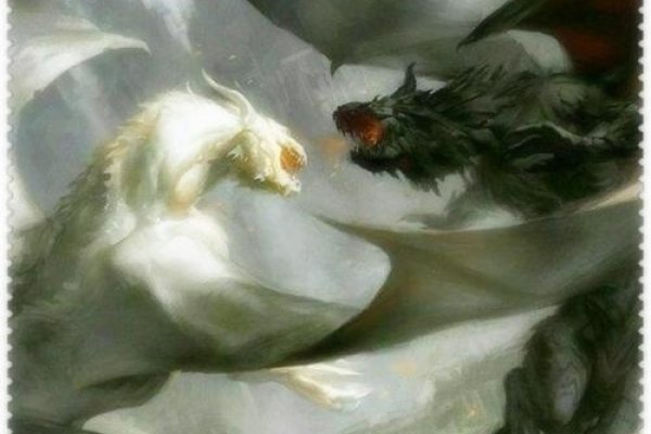 龙之命运，生死与前路的交汇-方知甜