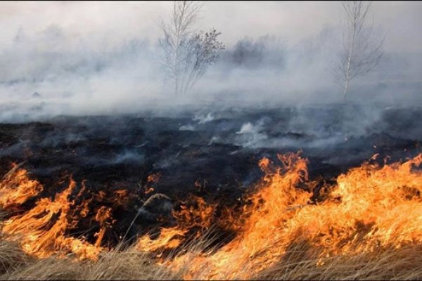 梦到大火，预示吉凶参半，健康与财运需留意-方知甜
