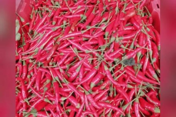 梦到辣椒，一场火辣辣的心灵之旅-方知甜