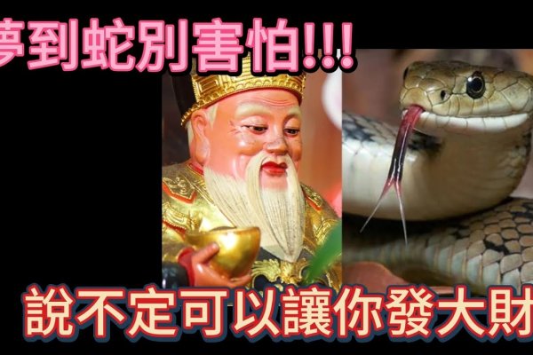 梦到蛇，预兆内心不安与未来机遇-方知甜