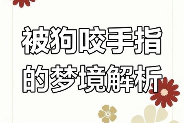 梦到狗咬手指,潜意识中的警示与情感释放-方知甜