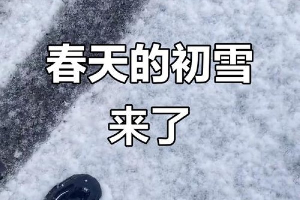 梦回雨夹雪，一场冬日幻境的温柔探访-方知甜