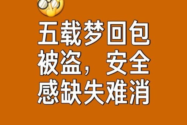 梦见包被偷，警惕财产隐私安全，加强自我保护意识-方知甜