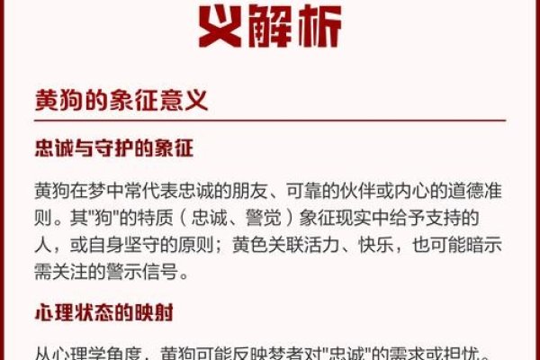 梦见被狗咬，梦境背后的深层含义与解析-方知甜