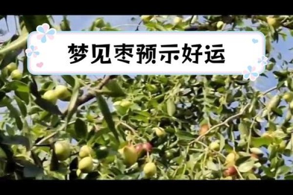 梦见吃枣子，甜蜜梦境的深层寓意-方知甜