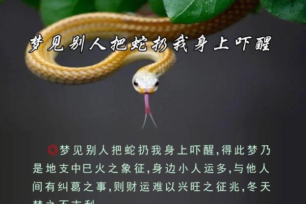 梦见打死蛇，预示挑战与胜利，爱情事业双丰收-方知甜
