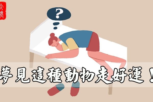 梦见动物预示吉凶，解读梦境中的奥秘-方知甜