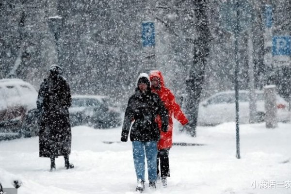 梦见大雪纷飞，反映女性婚姻或职场压力，预示爱情与事业转折。-方知甜