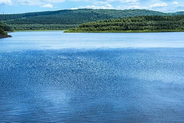 梦见河水上涨，梦境背后的深层含义与解析-方知甜