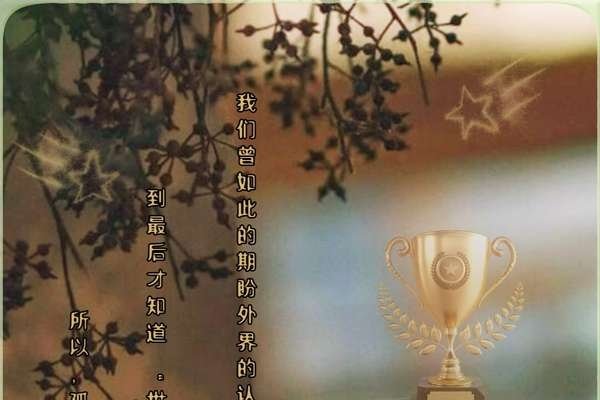 梦见花圈，心灵与岁月的共同回声-方知甜